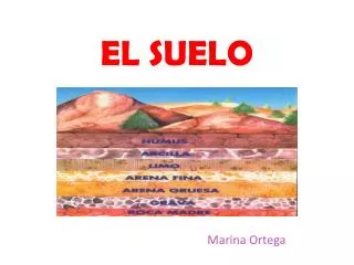 el suelo