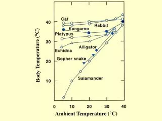 Ambient Temperature (°C)