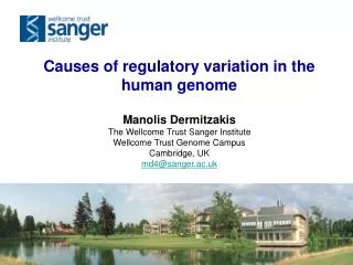 Causes of regulatory variation in the human genome