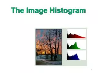 The Image Histogram
