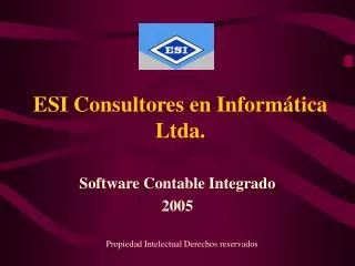 esi consultores en inform tica ltda