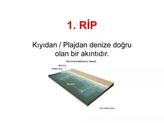 1 r p k y dan plajdan denize do ru olan bir ak nt d r