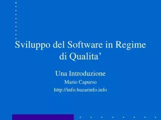 sviluppo del software in regime di qualita