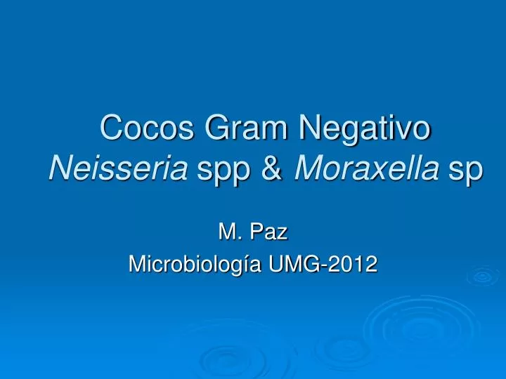 cocos gram negativo neisseria spp moraxella sp