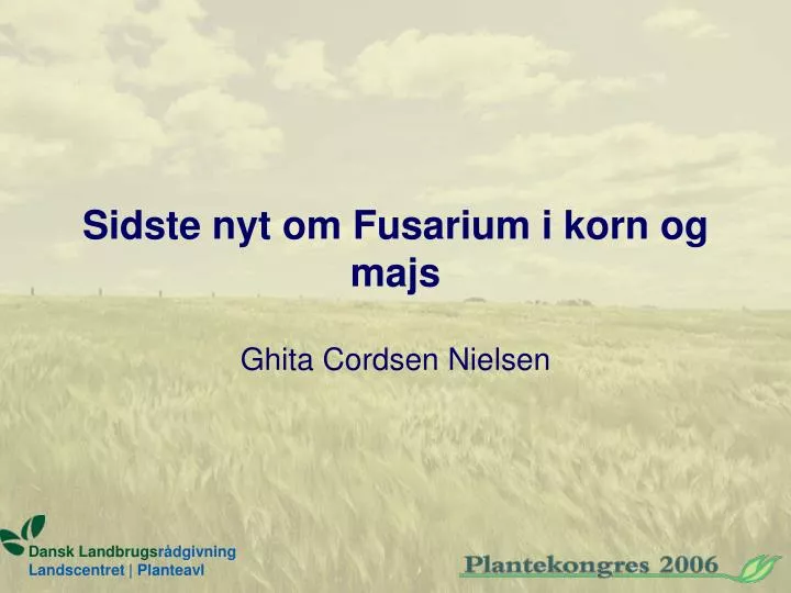 sidste nyt om fusarium i korn og majs