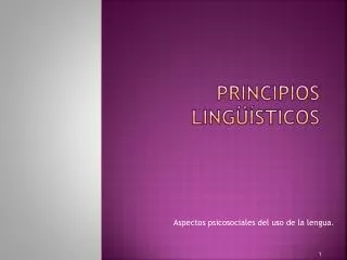 principios ling sticos