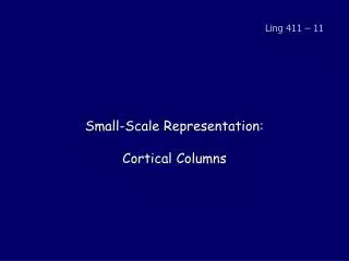 Small-Scale Representation: Cortical Columns