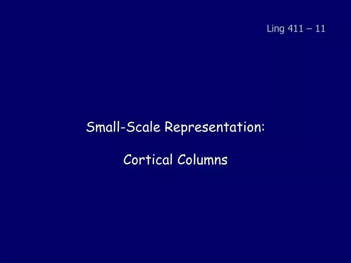 small scale representation cortical columns