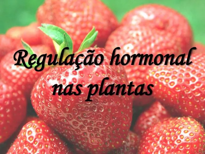 regula o hormonal nas plantas