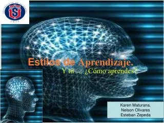 estilos de aprendizaje