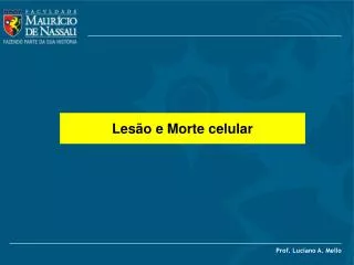les o e morte celular
