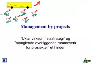 Management by projects