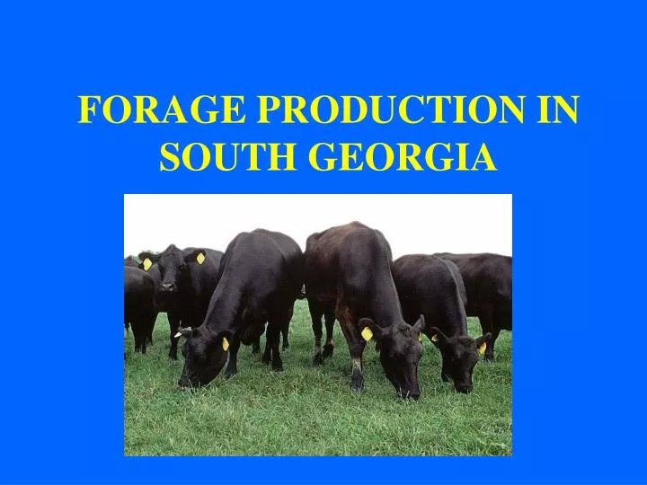 forage production in south georgia