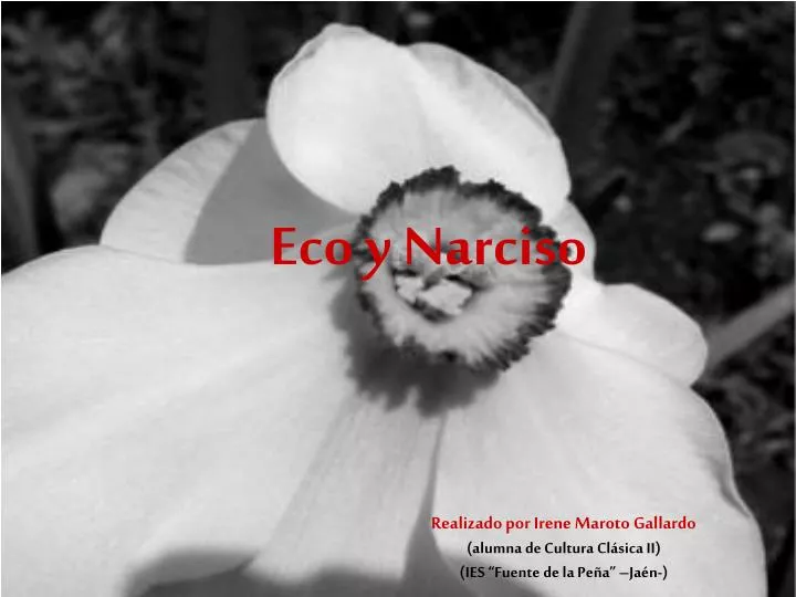 eco y narciso