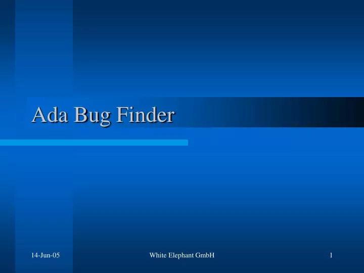 ada bug finder