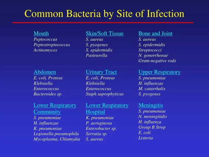 common bacteria by site of infection