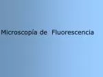 Microscopía de Fluorescencia - slide 1