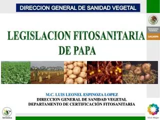 LEGISLACION FITOSANITARIA DE PAPA