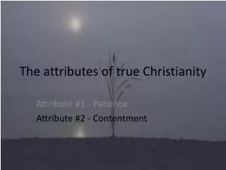 The attributes of true Christianity
