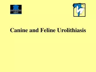 Canine and Feline Urolithiasis