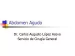Abdomen Agudo - slide 1