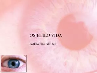 osjetilo vida