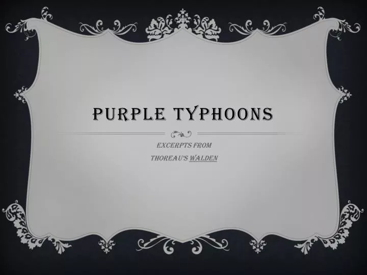 purple typhoons