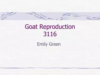 Goat Reproduction 3116