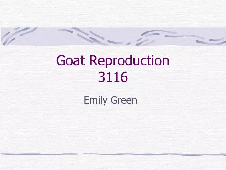 goat reproduction 3116