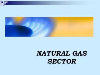 NATURAL GAS SECTOR
