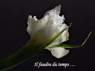 il faudra du temps