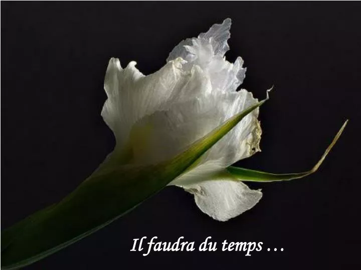 il faudra du temps