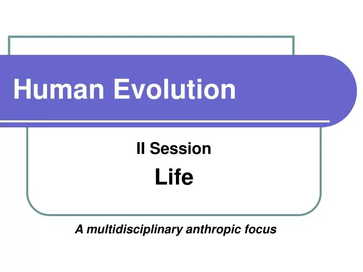 human evolution