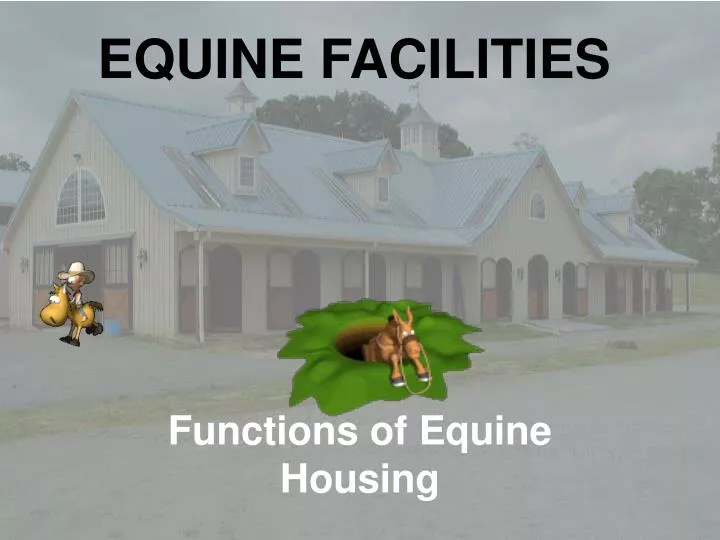 equine facilities