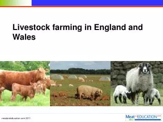 Livestock farming in England and Wales