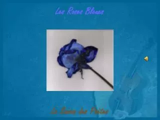 les roses bleues