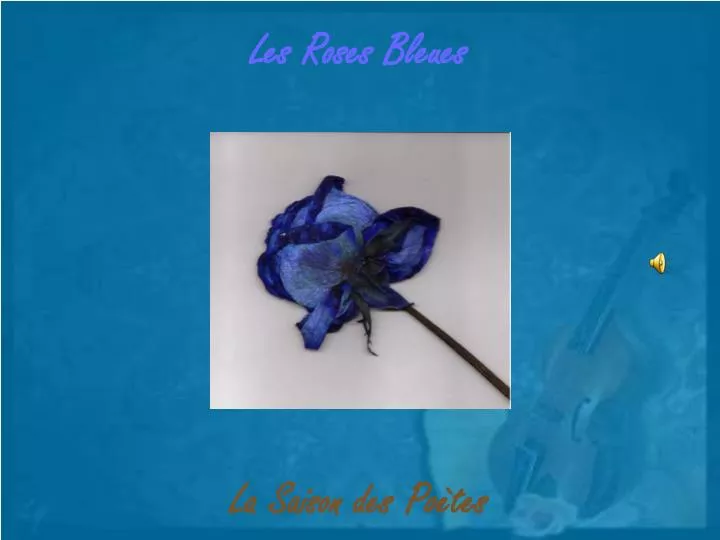 les roses bleues