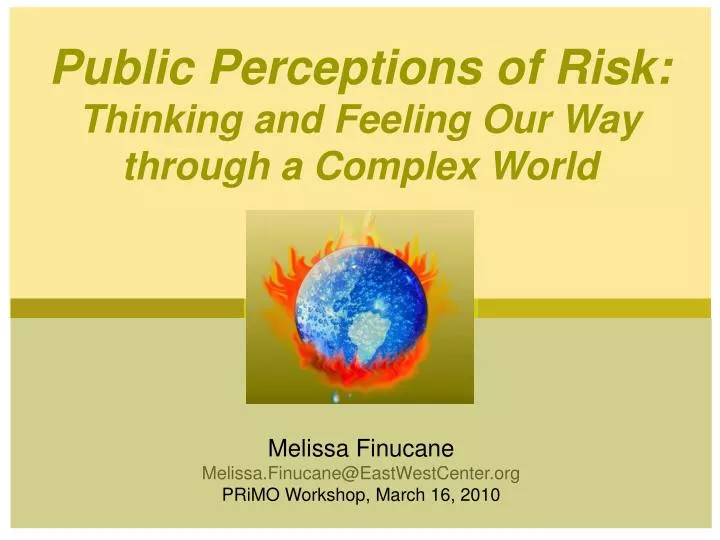 public perceptions of risk thinking and feeling our way through a complex world