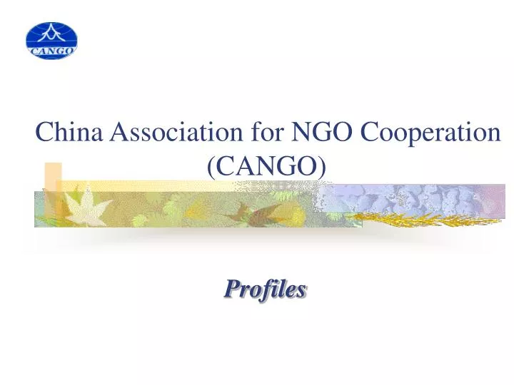 china association for ngo cooperation cango