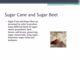 Sugar Cane and Sugar Beet