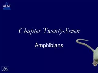 Chapter Twenty-Seven