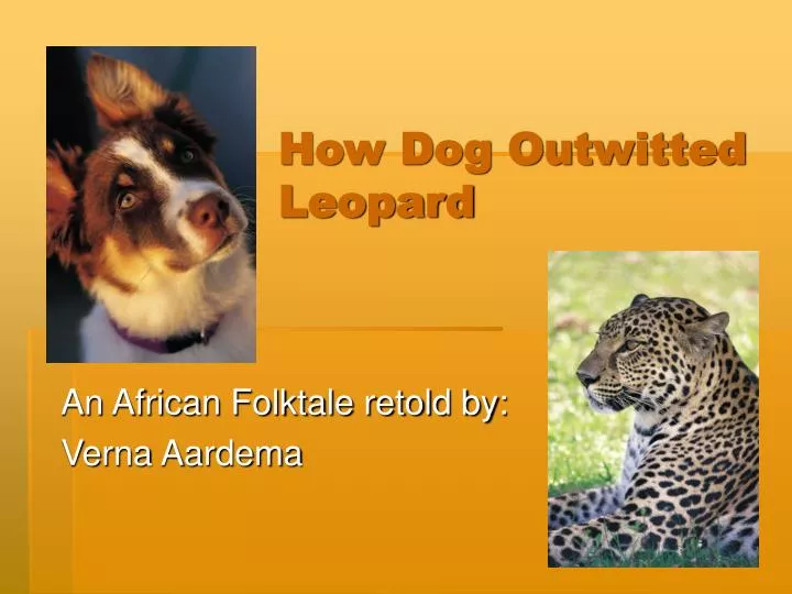 how dog outwitted leopard