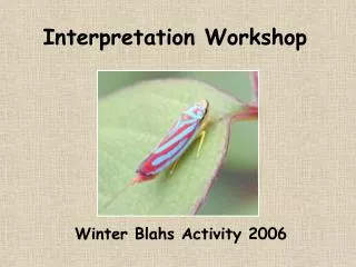 Interpretation Workshop