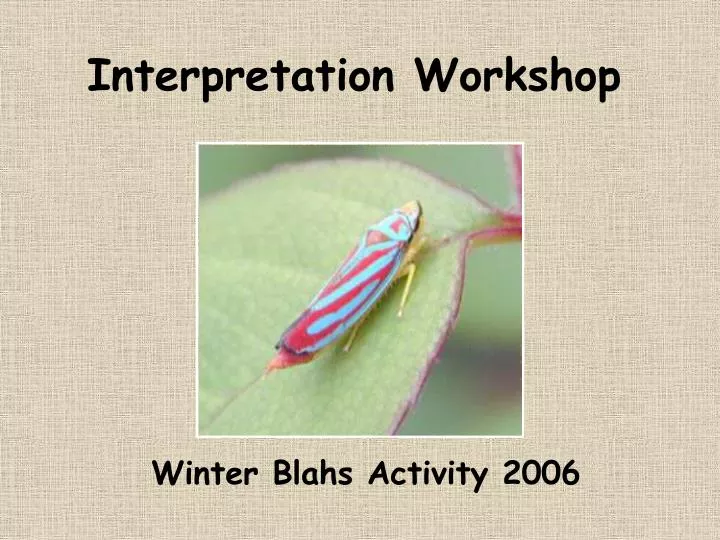 interpretation workshop