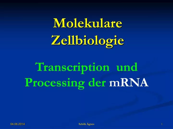 molekulare zellbiologie