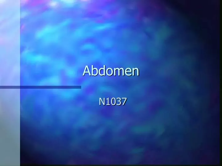 abdomen