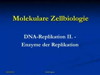 molekulare zellbiologie