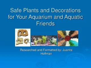Safe Plants and Decorations for Your Aquarium and Aquatic Friends