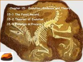 Chapter 15: Evolution—Evidence and Theory