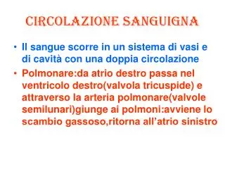 circolazione sanguigna